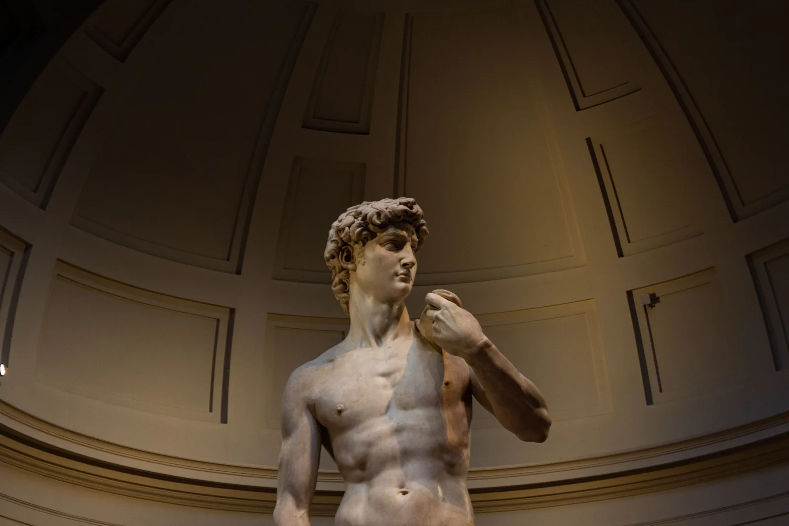 David von Michelangelo in der Accademia-Tribuna